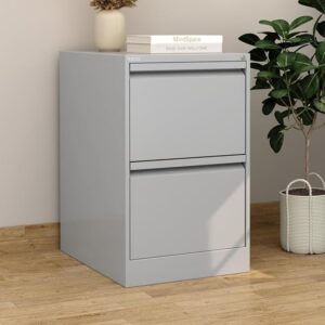 RIGID Small Storage Steel Cabinet | Metal Portable Filing Cabinet with 2 Drawers