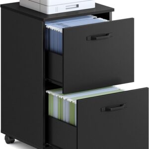 VASAGLE 2 Drawer File Cabinet Small Rolling Filing Cabinet